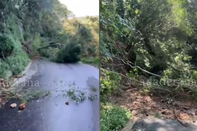 Landslides reported in Riverston