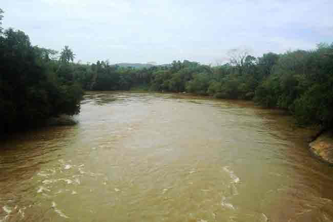 Kelani River water levels receding  Irrigation Department