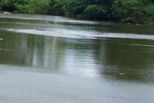 Woman who attempted to commit suicide by jumping into Malwathu Oya rescued