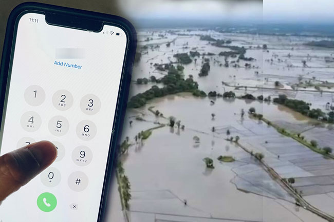 Hotline introduced to report crop damage caused by Cyclone Ditwah 