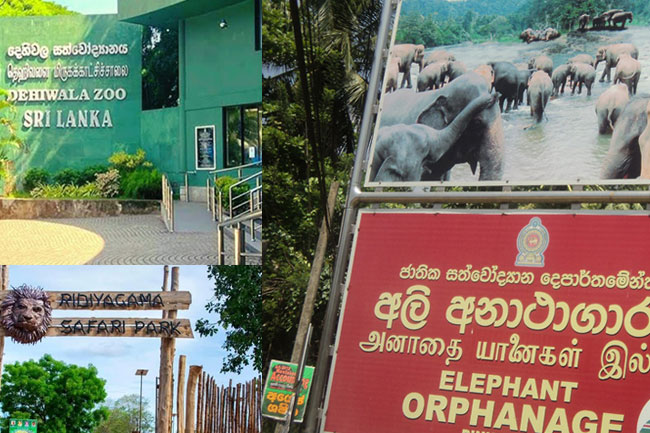 National parks and Dehiwala Zoo reopened 