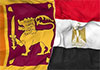 Egypt offers sincere condolences to Sri Lanka over deadly floods