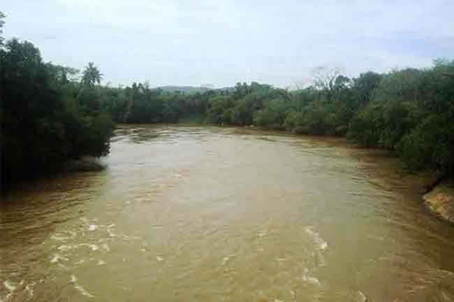 Reservoir water levels gradually receding  Irrigation Dept.