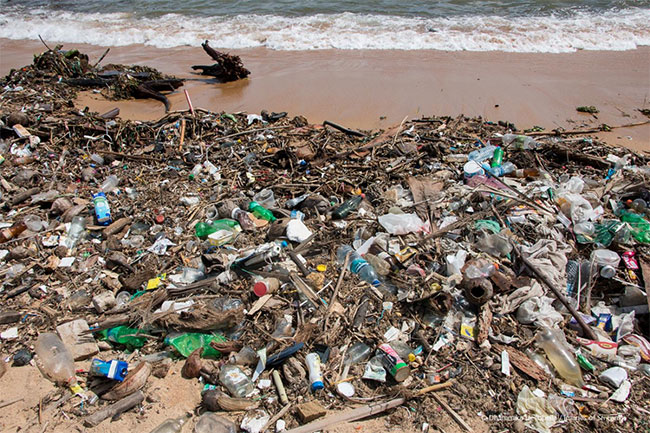 Cyclone Ditwah causes extensive pollution along 143km stretch of Sri Lanka s coastline