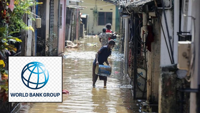 Cabinet approves activation of emergency response components in World Bankfunded projects Cabinet approves activation of emergency response components in World Bankfunded projects