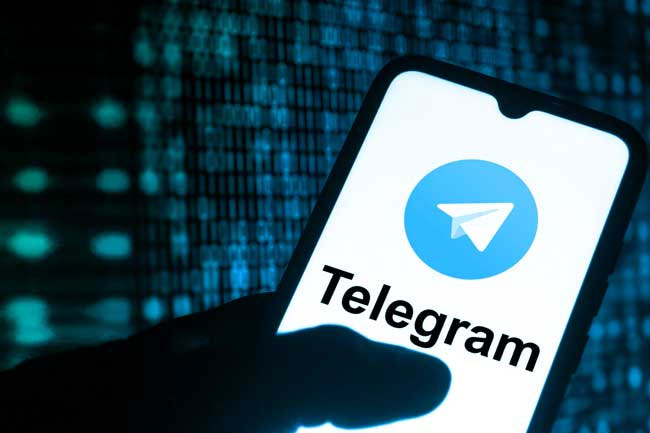 Suspect arrested for Rs. 6.86 million online fraud via Telegram