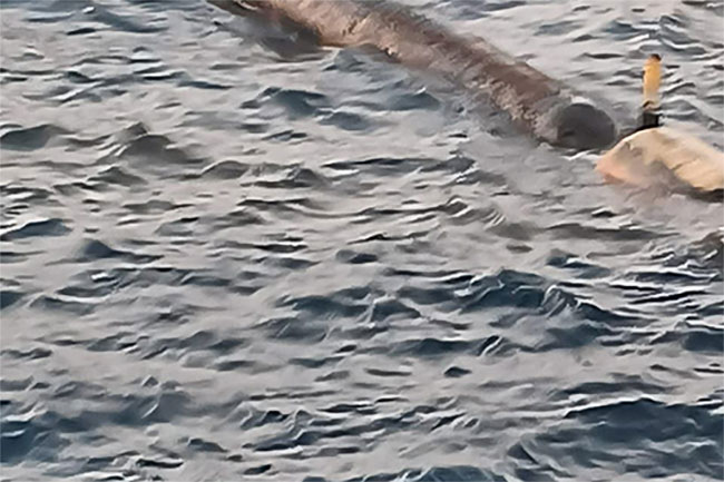 Leakage reported in pipeline from ship unloading crude oil at Colombo Port brought under control