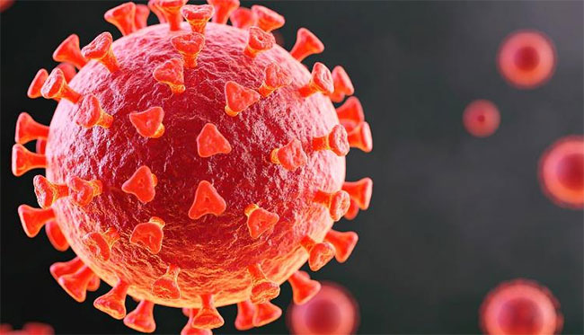 No link between COVID-19 vaccines and sudden deaths in young adults: AIIMS