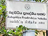 Budget of NPP-led Balapitiya Pradeshiya Sabha defeated