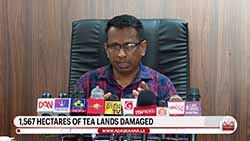 Plantation Minister reveals extent of Cyclone Ditwah's impact on plantation sector (English)