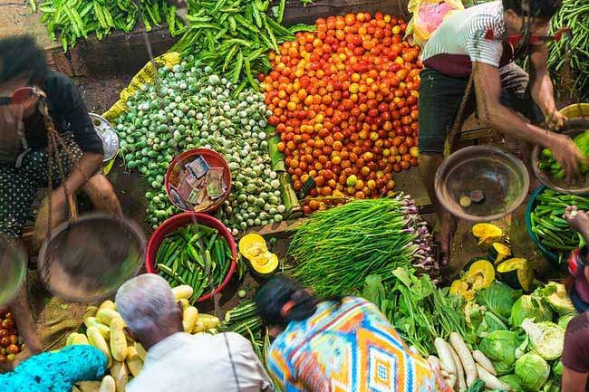 Vegetable prices rise sharply after crop damage across Sri Lanka