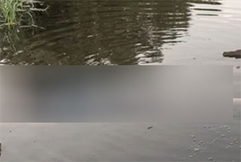 Body of male found in Attanagalu Oya