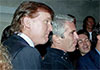 New batch of Epstein files include many references to Donald Trump