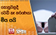 ⁠කොහුවලදී වෙඩි කෑ තරුණයා මිය යයි | Ada Derana