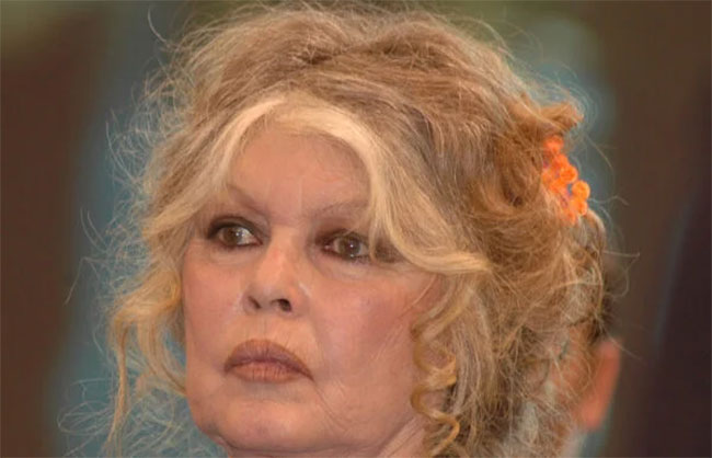 French cinema legend Brigitte Bardot dies at 91