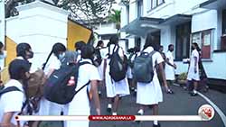 Controversial Grade 6 English language module sparks public outcry (English)