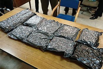 Indian national arrested with over 3.4 kg �Kush� at BIA