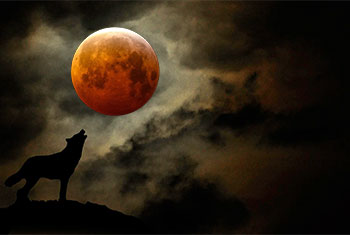 Wolf moon lights up the sky this weekend as final supermoon until late 2026