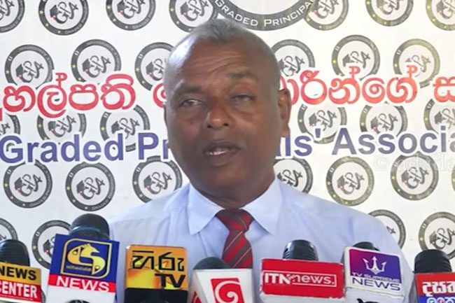 Principals  Association alleges absence of formal educational plan for Grade 6 students