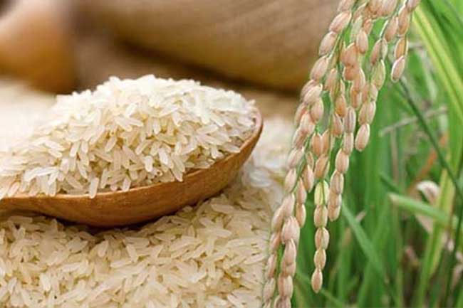 Proposal to increase minimum purchasing price of Samba and Kiri Samba paddy varieties approved