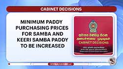 Cabinet nod to increase minimum purchasing price of Samba and Kiri Samba paddy varieties (English)
