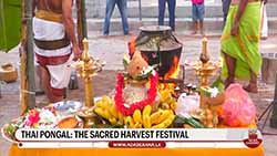 Thai Pongal celebrations held across Sri Lanka (English)