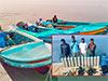 13 apprehended for harvesting sea cucumber illegally in seas off Kilinochchi