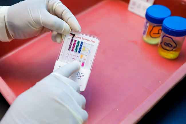 480 arrested for drug driving so far this year � Public Security Minister 