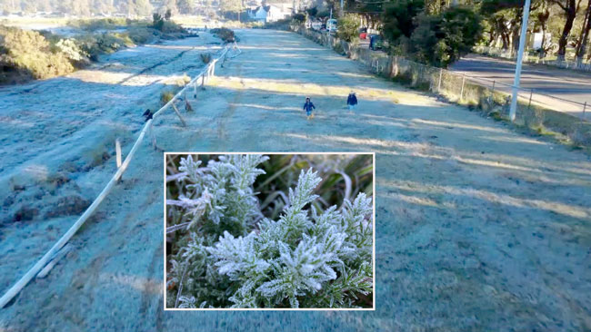 Morning frost in Nuwara Eliya with minimum temperature at 7.8°C today