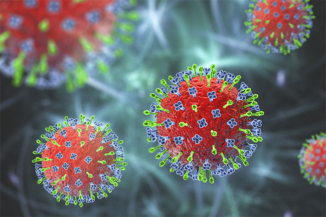 Public advised not to panic amid Nipah virus concerns in India