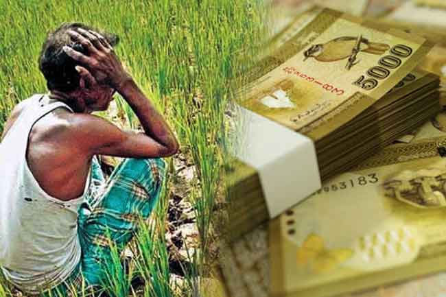 Agricultural Insurance Month declared for farmers