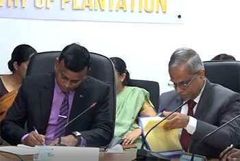 Govt signs agreement with plantation companies to increase estate workers� daily wage 