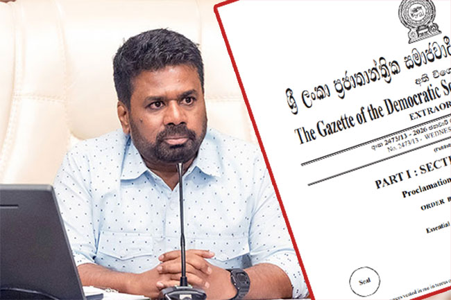 Gazette issued extending declaration of several services including electricity supply as essential service 