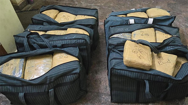 194kg of cannabis intended to be smuggled to Sri Lanka seized in Tamil Nadu 