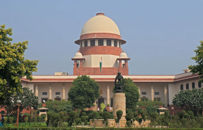Cricket bodies should have ex-cricketers, not those who do not know how to bat: India�s SC
