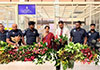 Two women arrested at BIA over attempt to smuggle in 436 Anthurium plants