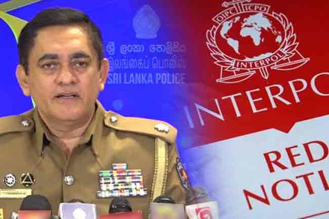 Police seek return of 103 fugitives through Interpol red notices