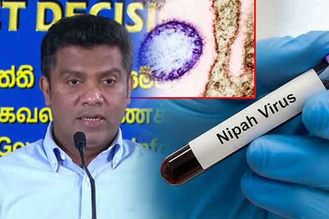 Sri Lanka on alert over Nipah virus amid increase in tourist arrivals