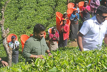 President meets plantation workers in Nanu Oya�