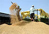 Govt. announces minimum purchase prices for paddy 