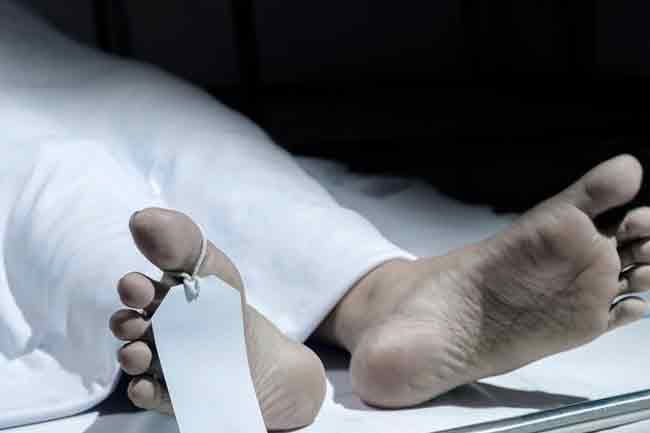 Foreign national killed in wild elephant attack in Sigiriya   