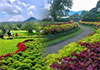 Revenue from Sri Lanka�s botanical gardens surpasses Rs. 1 bln in 2025