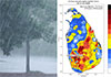 Eheliyagoda records highest rainfall; Thundershowers likely this afternoon