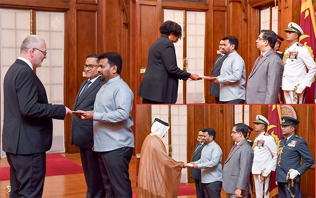 Three new Ambassadors present credentials to President