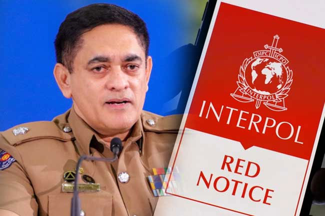 Podi Lassie arrested without Interpol Red Notice, police reveal more details