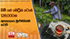 නිමි තේ මෙට්‍රික් ටොන් 128,000ක් අපනයනය මුළුමනින්ම නවතී