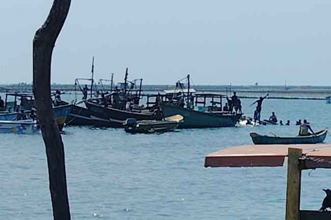 Two dead, 15 missing after boat capsizes in Gurunagar Jetty in Jaffna