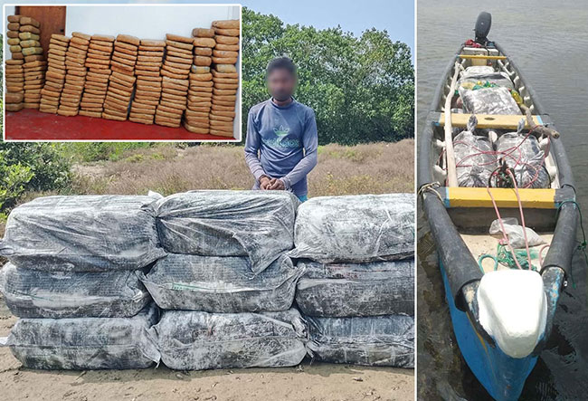 Suspect nabbed with 368kg of foreign-origin cannabis worth over Rs. 73 million