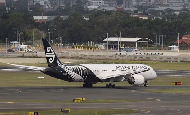 Air New Zealand cuts 1,100 flights over fuel price fears