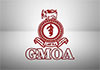 QR fuel allocations insufficient for medical services: GMOA QR fuel allocations insufficient for medical services: GMOA